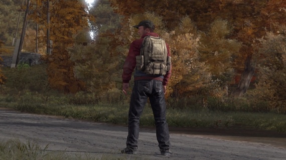 Новости: В DayZ будет не много предметов, но это исправимо